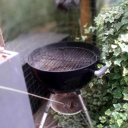 2 Zimmer, Garten, Terrasse, Bad Mit Dusche Und Wc Und Gemeinschaftskueche *